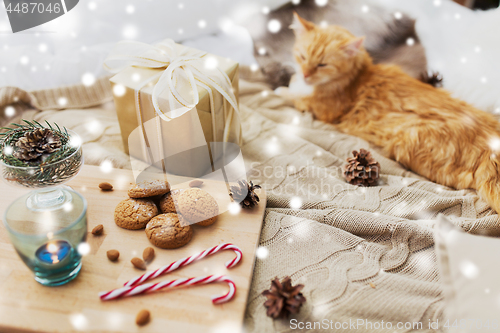 Image of red cat lying in bed with christmas gift at home