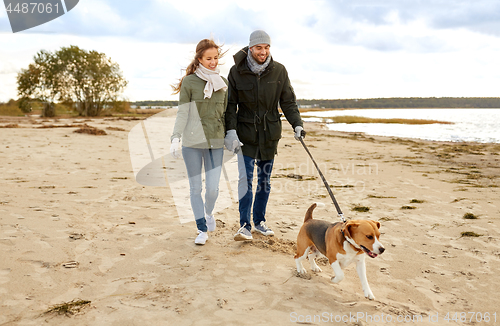 Image of happy couple with beagle dog on autumn beach