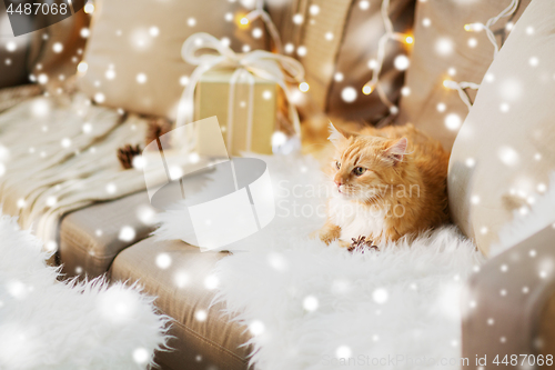 Image of red tabby cat on sofa with christmas gift at home