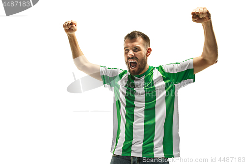 Image of Irish fan celebrating on white background