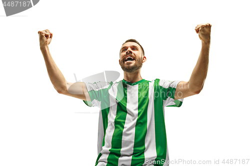 Image of Irish fan celebrating on white background