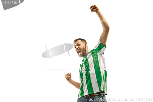 Image of Irish fan celebrating on white background