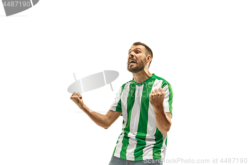 Image of Irish fan celebrating on white background