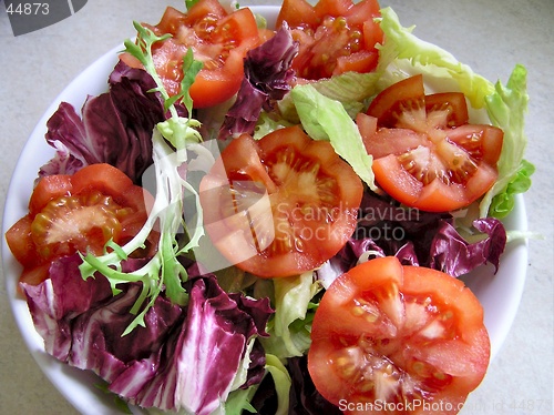 Image of Salad