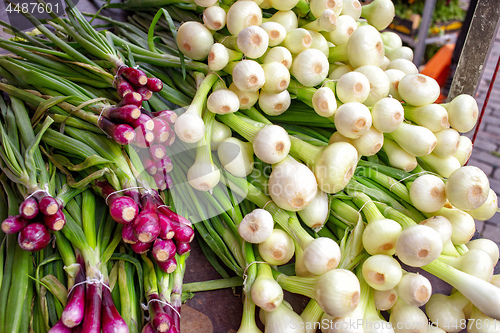 Image of various fresh onions