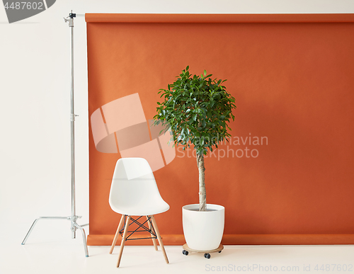 Image of brown paper backdrop