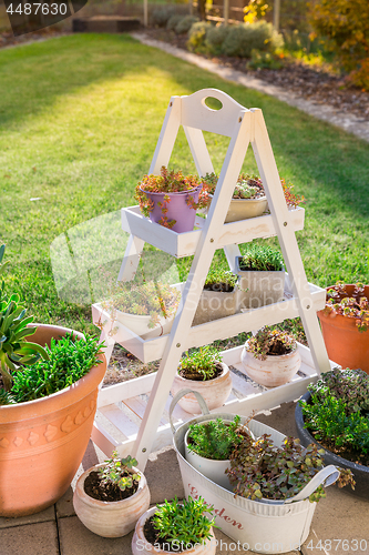 Image of Small stone garden with garden shelf and pottery