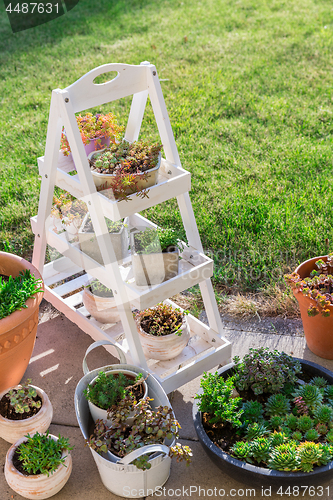 Image of Small stone garden with garden shelf and pottery