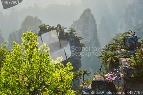 Image of Zhangjiajie mountains, China