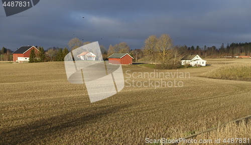 Image of Farmland