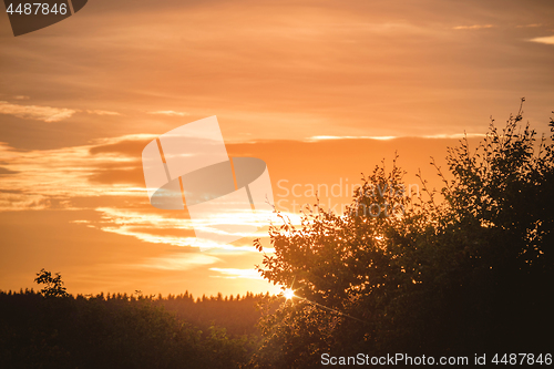 Image of Sunset over a forest with tree silhouettes