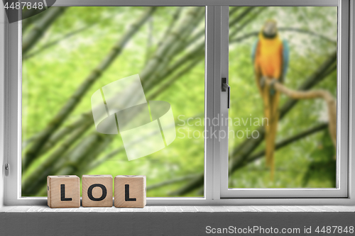 Image of LOL sign in a window to a junge with a parrot