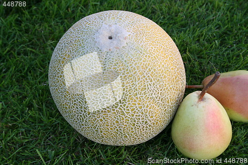 Image of Cantaloupe melon and pears