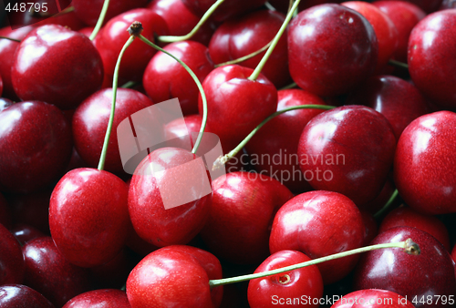 Image of freshly picked heap of cherries