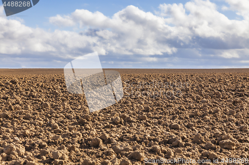 Image of Agricultural Abstract