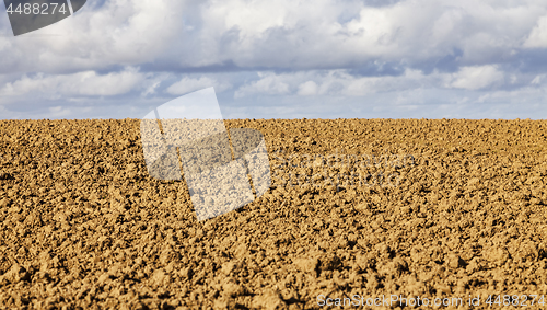 Image of Agricultural Abstract