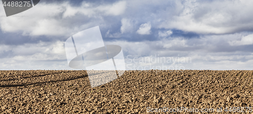 Image of Agricultural Abstract