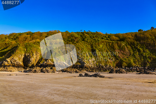 Image of Wild Beach