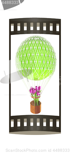 Image of Hot Air Balloon and tulips in a basket. 3d render
