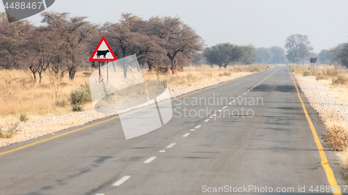 Image of Warning sign for cows, cattle or livestock