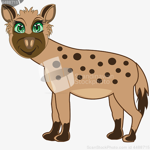 Image of Animal hyena on white background is insulated