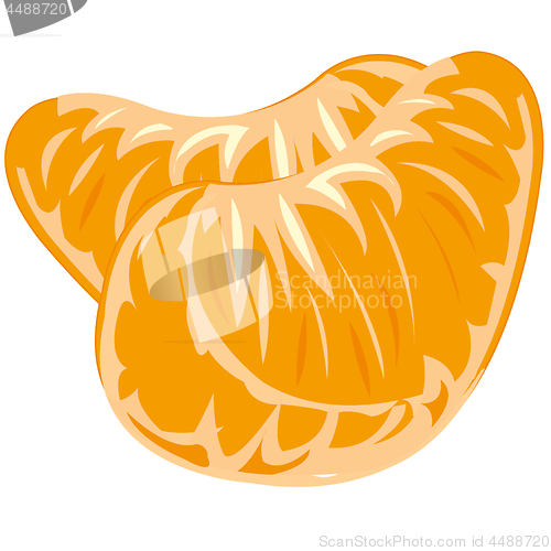 Image of Vector illustration two juicy bits of the tangerine