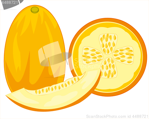 Image of Fruit melon on white background is insulated