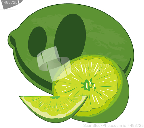 Image of Fruit lime on white background is insulated