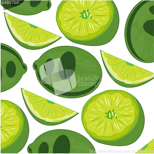 Image of Fruit lime pattern on white background is insulated