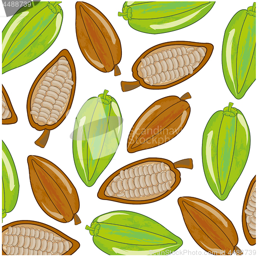 Image of Fruits cacao on white background is insulated