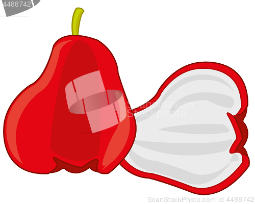 Image of Fruit Chompu on white background is insulated