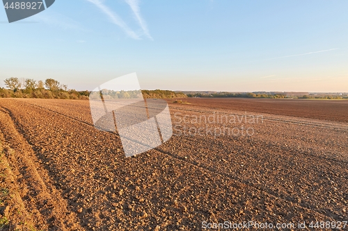 Image of Agircutural field in late sunlight