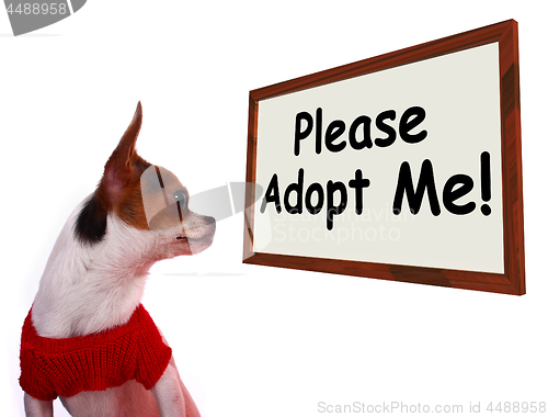 Image of Please Adopt Me Sign Showing Stray Unwanted Canine