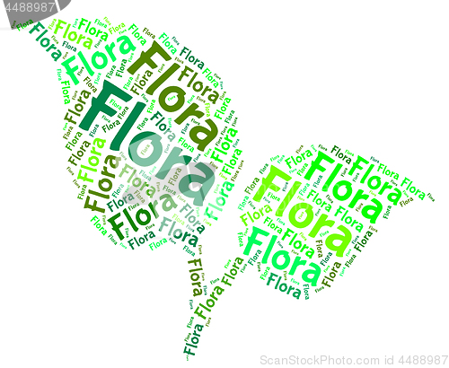 Image of Flora Word Means Plant Life And Areas