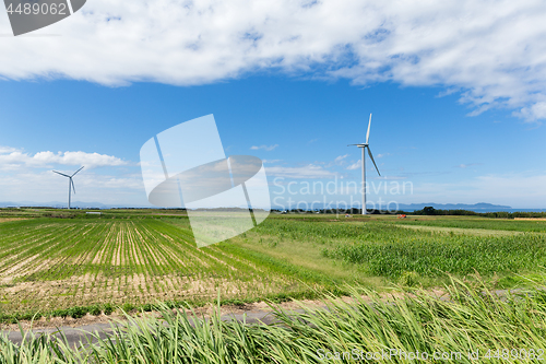 Image of Wind turbines generating electricity