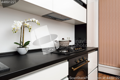 Image of Modern classic black and white kitchen