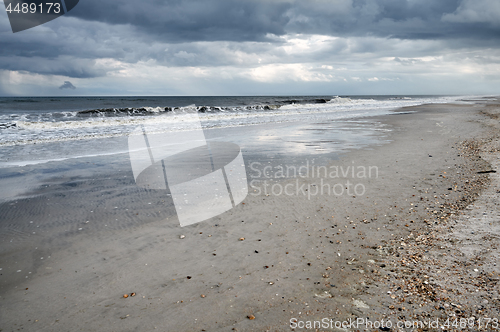 Image of Pacific Ocean and sandy coast with rare shells