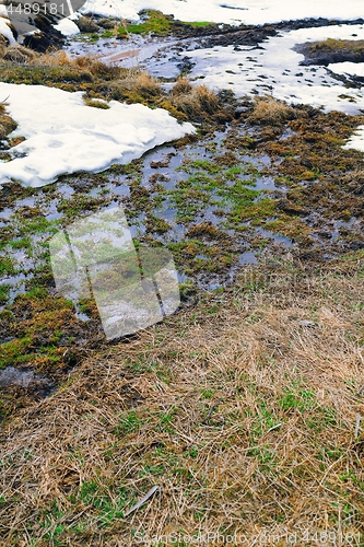 Image of Swampland place with spots of snow