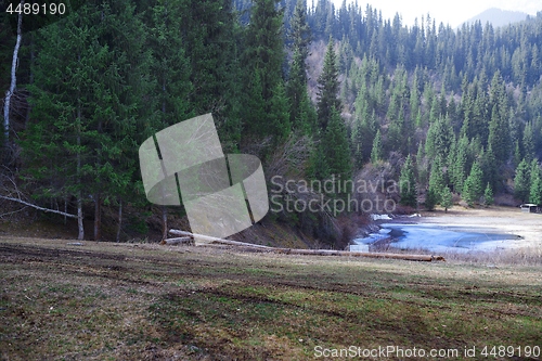 Image of Lake at the mountain forest. California, USA