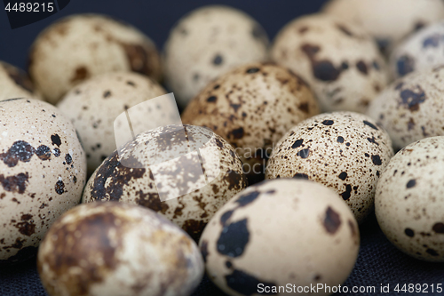 Image of Close-up view on the Quail eggs