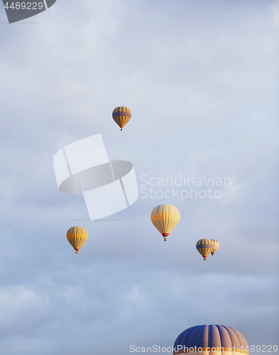Image of Group of air balloons flying in the sky