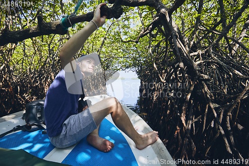 Image of Boat trip through mangrove forest