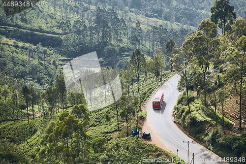 Image of Road through tea plantations