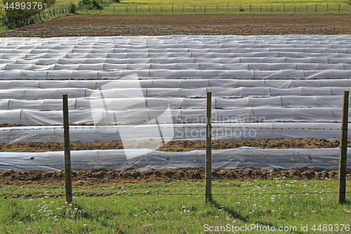 Image of Floating Row Cover