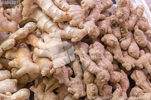 Image of Ginger