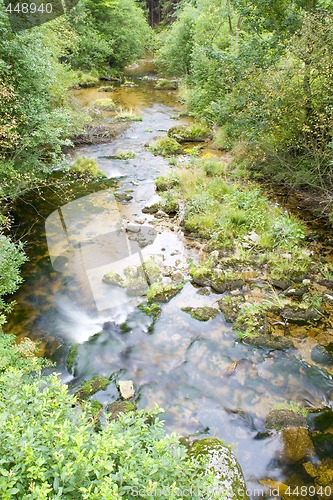 Image of Stream in the Green