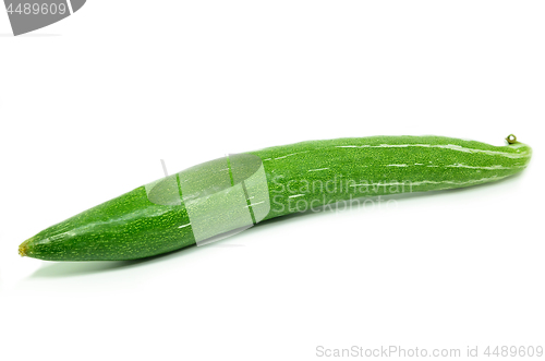 Image of Snake gourd isolated