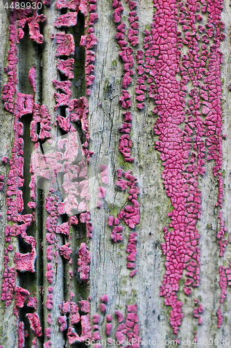 Image of Old wooden door texture background