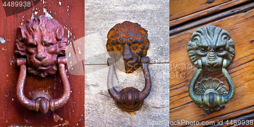 Image of Lion shaped door knockers