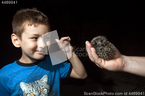 Image of  Boy with hedgehog